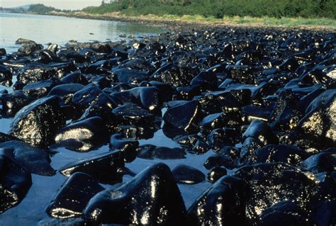 PHOTOS: This Happened 25 Years Ago | Valdez, Oil spill, Exxon