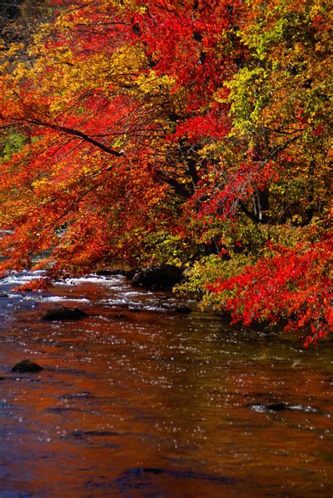 Vermont Fall Color 1 Photograph by Robert Lozen - Fine Art America