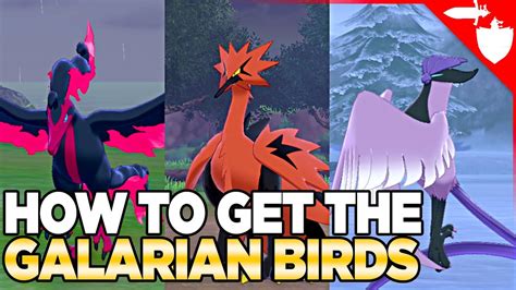 How to Get Galarian Birds, Articuno, Zapdos, & Moltres in Pokemon Sword ...