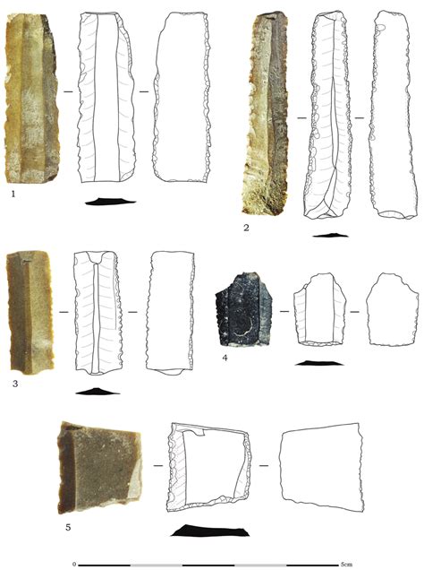 Early Bronze Age sickles from Stratum III. | Download Scientific Diagram