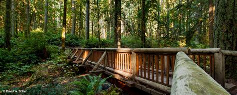 Expanding BI Trails | Bainbridge Island Parks Foundation