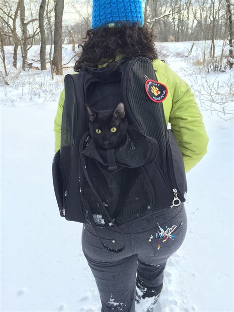 What backpacks are best for cats? – Adventure Cats