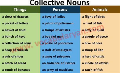 100 List of Collective Nouns of Thing, Animals and Persons