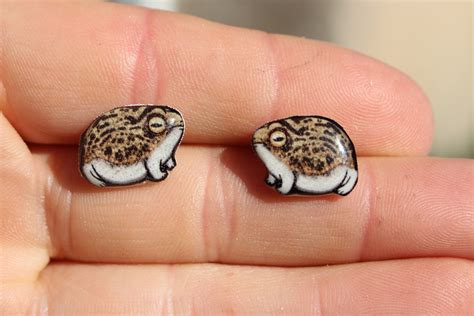 Desert Rain Frog Earrings : Gift for Frog Lovers Cute Animal - Etsy