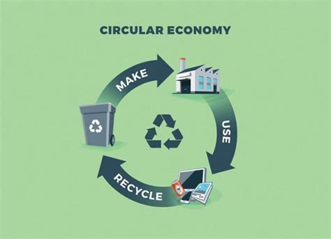 Circular Economy Examples (+ Definition, Principles, Pros/Cons, Barriers, & Implementation ...