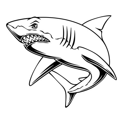 vector illustration Shark with prey hunting position black and white design 11948957 Vector Art ...