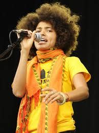 All The Goodness of The Nappy Life: Natural Nigerian singer Nneka Egbuna