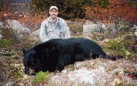 Grizzly Bear Hunting - Alaska