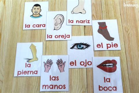 Spanish Parts of the Body Flashcards