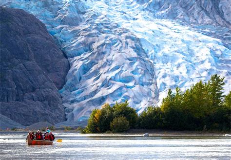 Glacier Point Wilderness Safari Tour | Alaska Shore Excursions