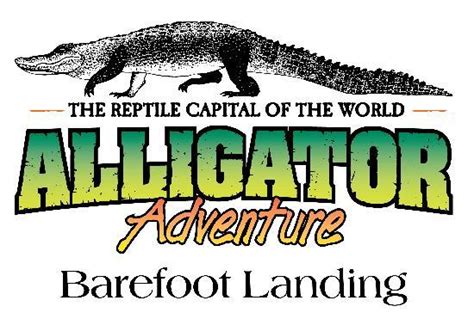 Alligator Adventure (North Myrtle Beach) - 2018 All You Need to Know Before You Go (with Photos ...