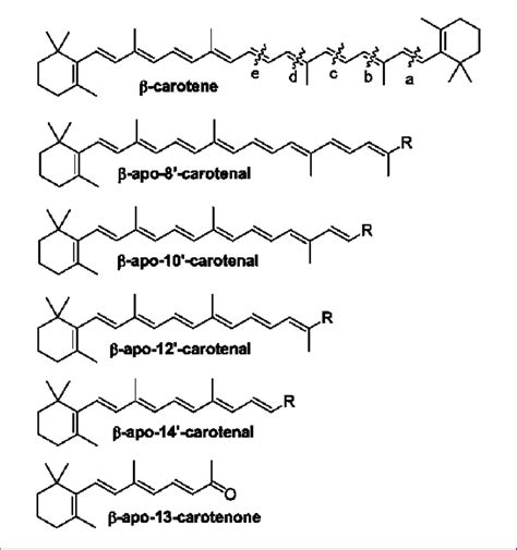 1. Structure of β-carotene and its β-apocarotenoid eccentric cleavage... | Download Scientific ...