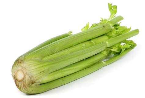 Celery stems stock photo. Image of shiny, celery, stalk - 12618850