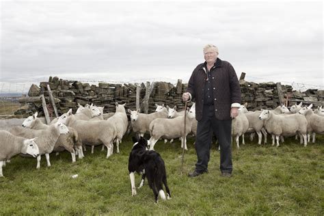 Alex Grace Photo Blog Spot: The World Sheepdog Trials - the portraits