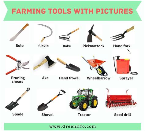 Common Farm Tools And Equipment: Names, Pictures, And Uses » Green Lifo