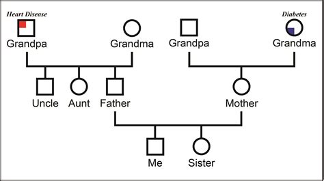 Genogram Template 3 Generations