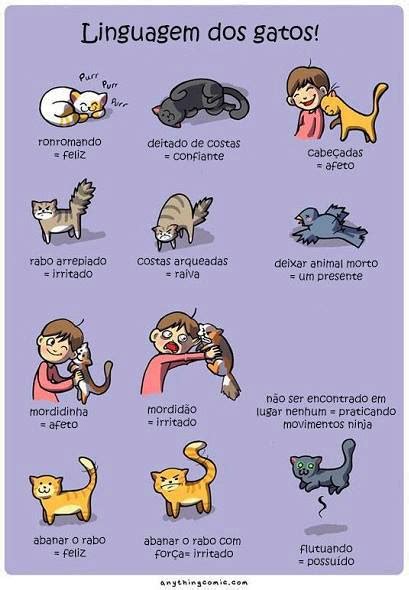 Manias de Leitura: Linguagem dos gatos.