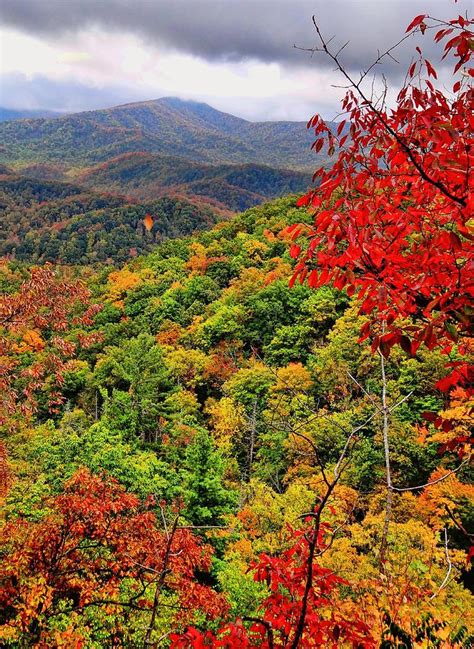 Blue Ridge Mountains Fall Color Photograph by Dan Sproul