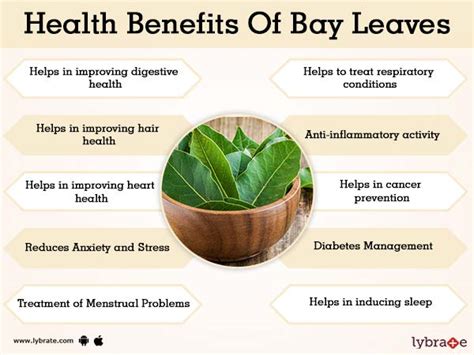 Benefits of Bay Leaves And Its Side Effects | Lybrate