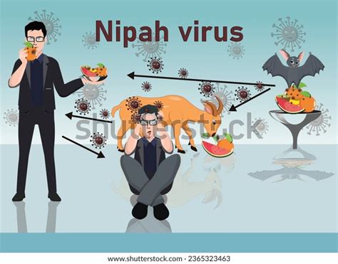 Nipah Virus Outbreak Spread Bats Illustration Stock Vector (Royalty Free) 2365323463 | Shutterstock