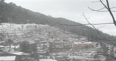 More snow likely in Nainital, Mukteshwar, Almora, Mussoorie and parts ...