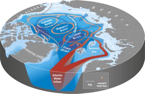 Cryospheric Sciences | Image of the Week – Did you know that Arctic sea ...