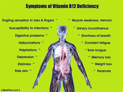 Symptoms of vitamin #B12 deficiency by #medifee | Digestion problems, Muscle weakness, Vitamin ...