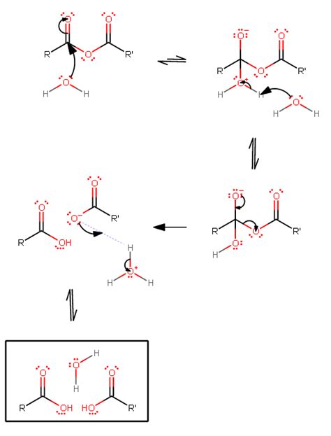 acid anhydride reaction with water mechanism