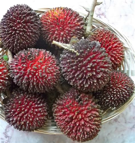 Pulasan - Alchetron, The Free Social Encyclopedia