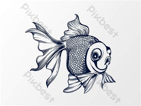 Golden Fish Vector Illustration | PSD PNG Images Free Download - Pikbest