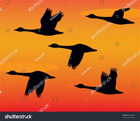 Vector Silhouette Flock Geese Sunset Stock Vector (Royalty Free) 9848839 | Shutterstock