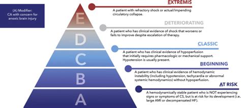 SCAI SHOCK Stage Classification Expert Consensus Update: A Review and ...