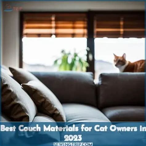 Best Couch Materials for Cat Owners in 2023