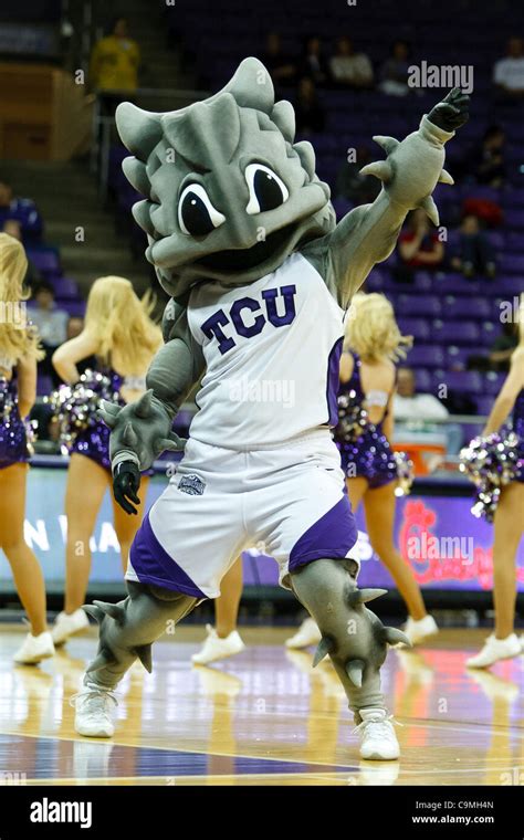 Tcu horned frogs mascot hi-res stock photography and images - Alamy