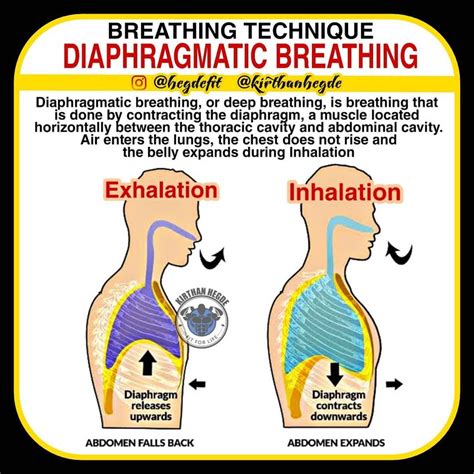 Kirthan Hegde | Mobility Coach on Instagram: “🧘🏻♂️ DIAPHRAGMATIC ...