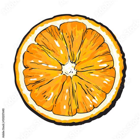 Orange cut in half, top view, sketch style vector illustration isolated ...