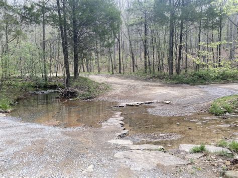 Finding Jackson Falls in Shawnee National Forest - thatawaydad.com