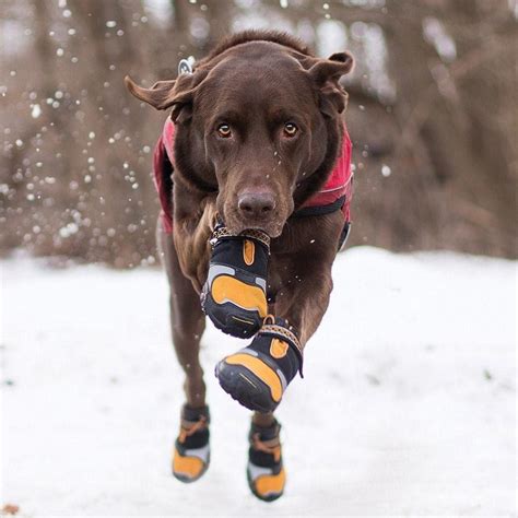 Best Dog Boots for Snow Protection | Dog Winter Boots - DoggyShoe.com