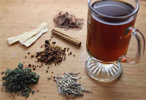 Herbal Tea Recipes to Decoct and Infuse