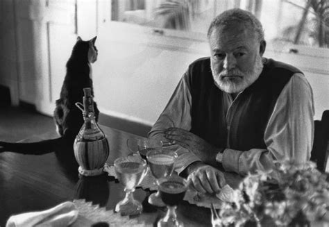 The Cat Ladies: Ernest Hemingway & Cats | Photos by Torre Johnson