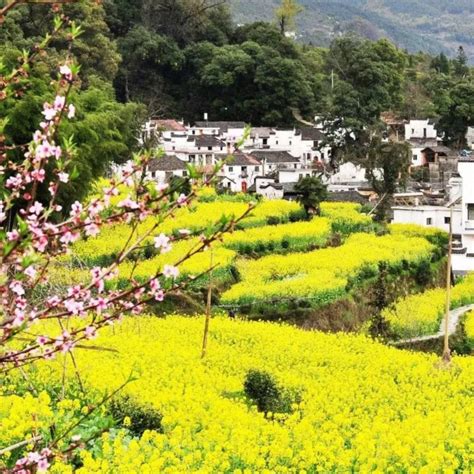 Wuyuan Travel Guide _ Wuyuan Travel Tip _ Wuyuan Tourist Information - CITS