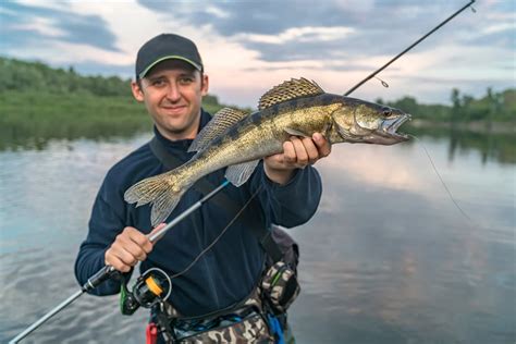 Best Rods for Catching Walleye - Fishmasters.com