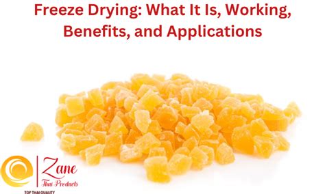 What is Freeze Drying? Working, Applications, and Benefits | by Zane Thai Products | Medium