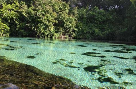 Best Camping in and Near Weeki Wachee Springs State Park