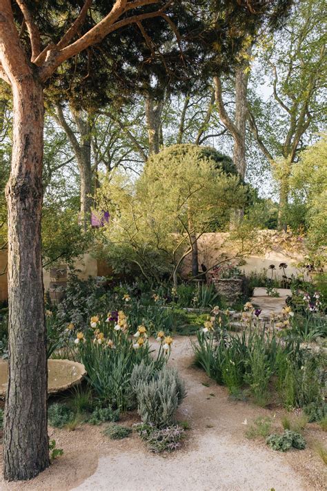 Silver gilt? The RHS Chelsea Flower Show’s medals, explained | House & Garden