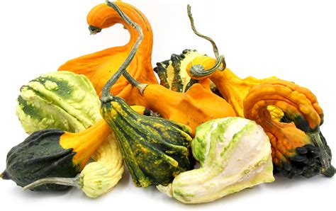 Ornamental Gourds Information and Facts