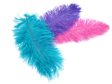 Ostrich Feathers - Mini Ostrich Plumes | Craft & Millinery Feathers