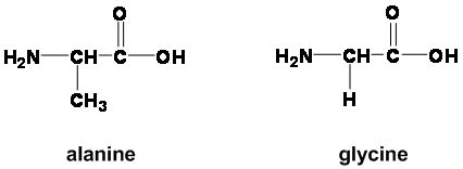 Solved: The Two Amino Acids Alanine And Glycine Can React ... | Chegg.com