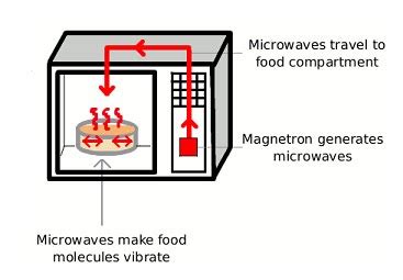 Contoh Gelombang Mikro - IMAGESEE