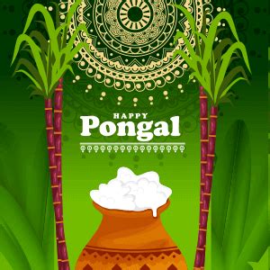 Pongal Festival Date 2023 - Thai & Mattu Pongal Celebration